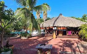 Woodstock Palmresort Curaçao